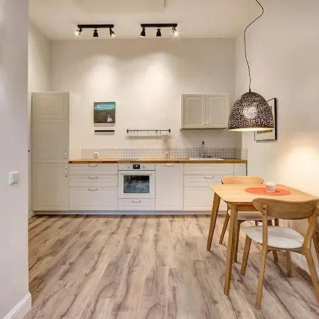 Wow! Brand New Center Ciurlionis Apartment